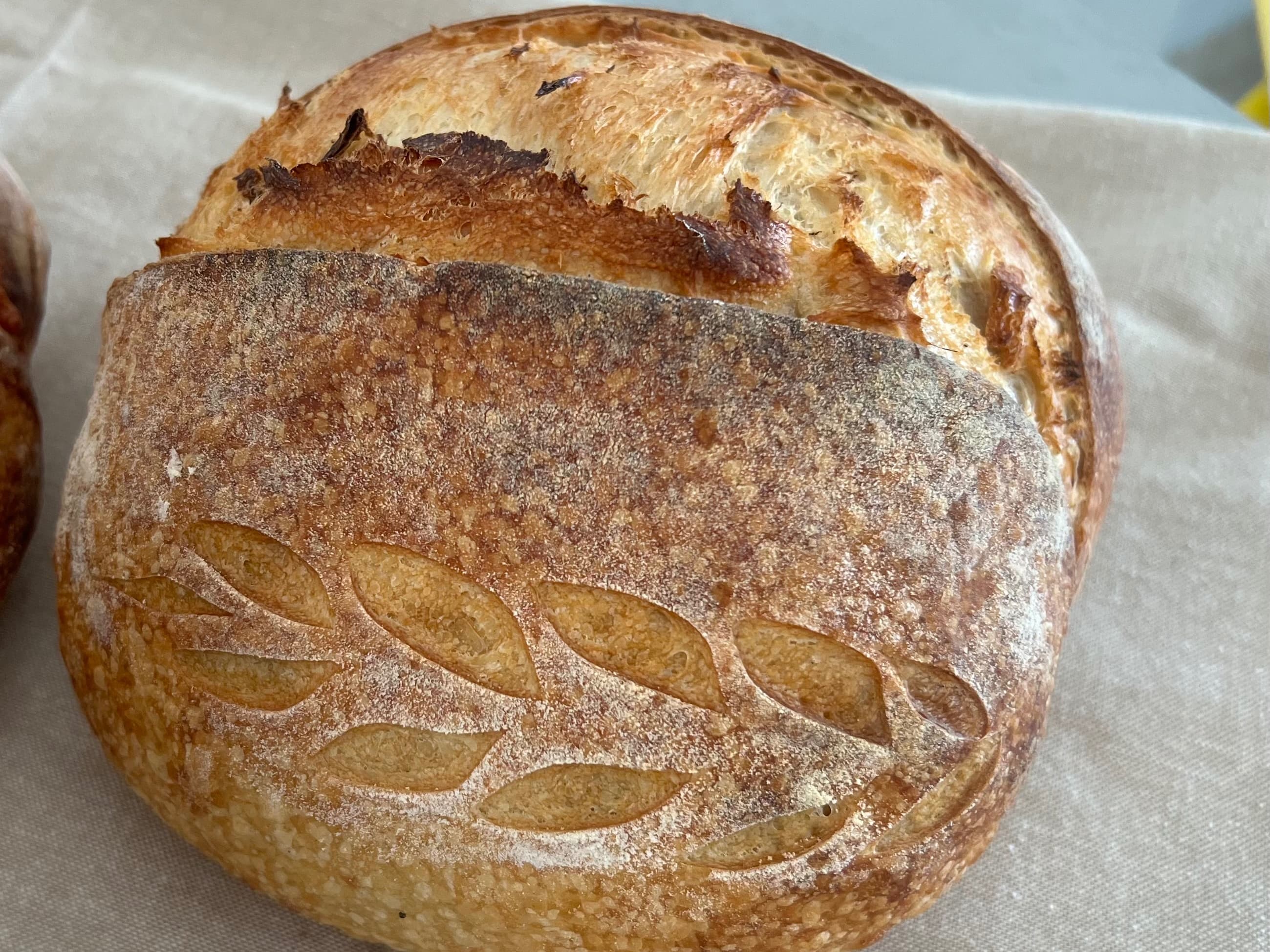 Sourdough dried tomatoes and goat cheese