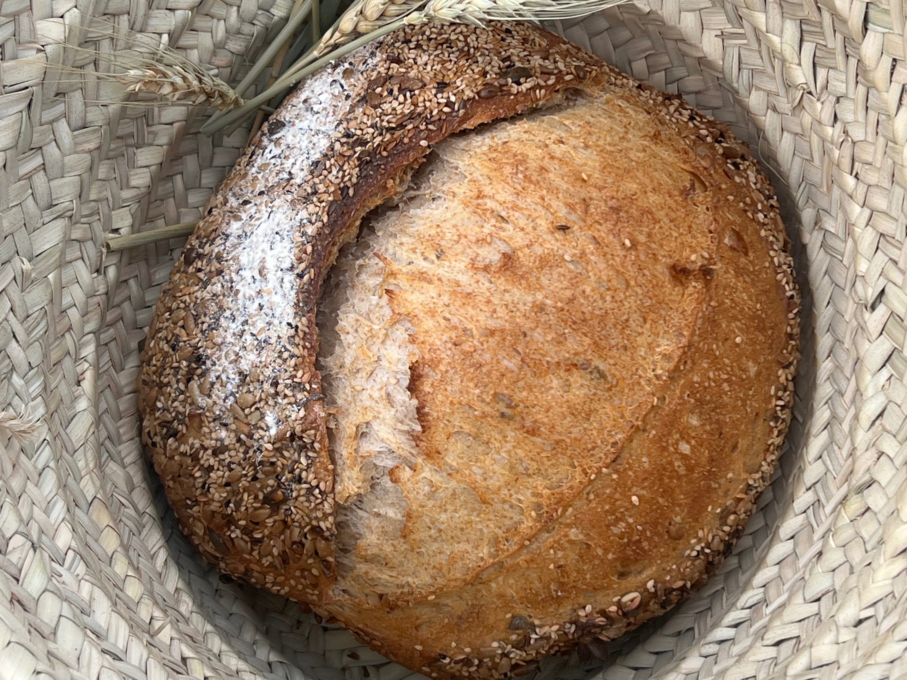 Why choose spelt?