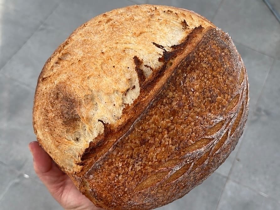 Sourdough roasted garlic and parmesan
